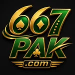 667PAK Game